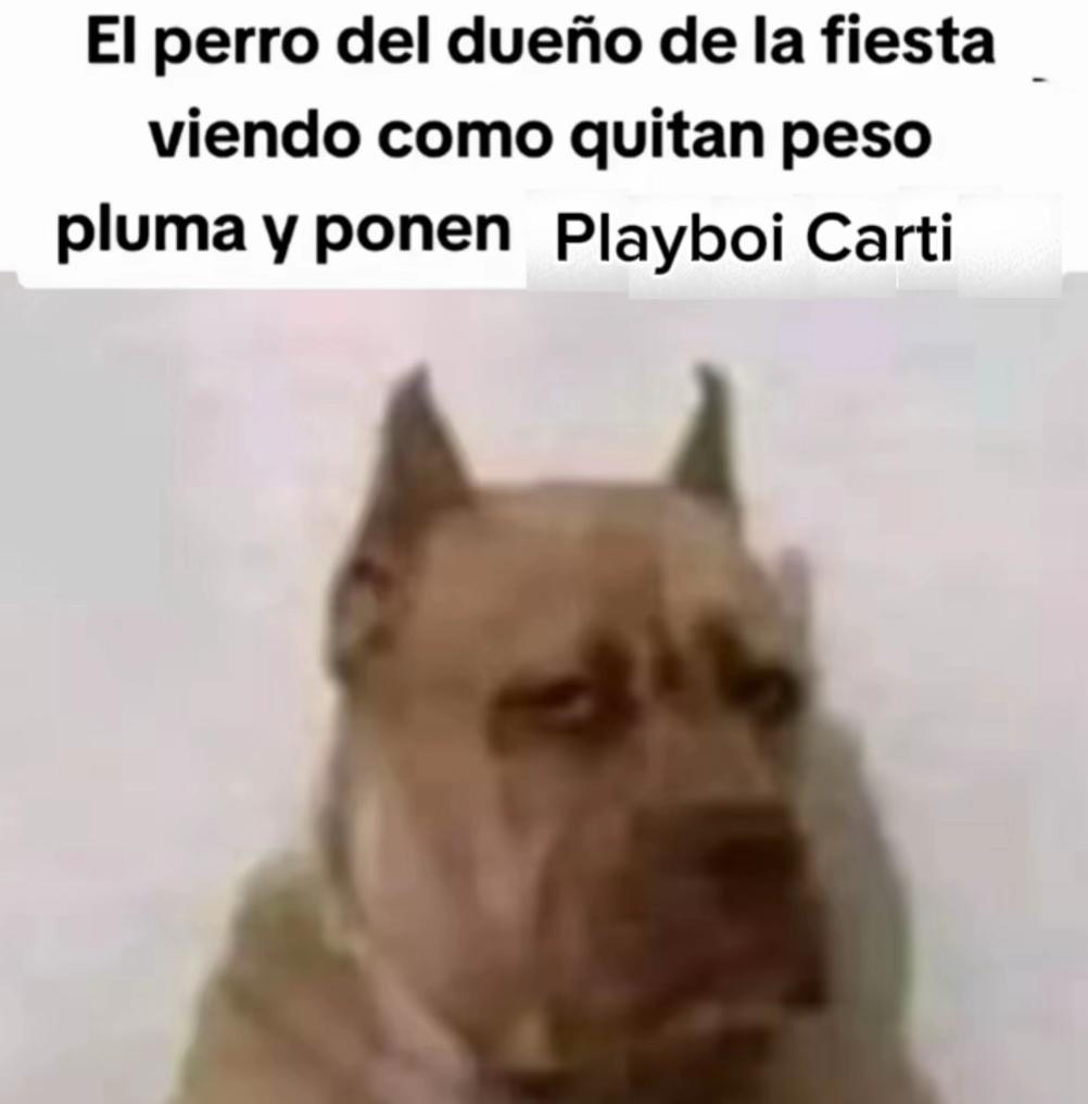 @Ariel
