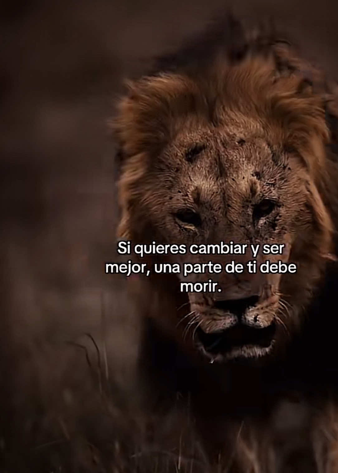 @Brenda Olvera✝️🕊️