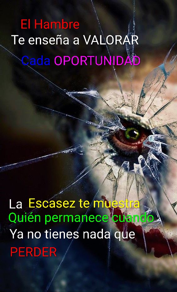@Fernando