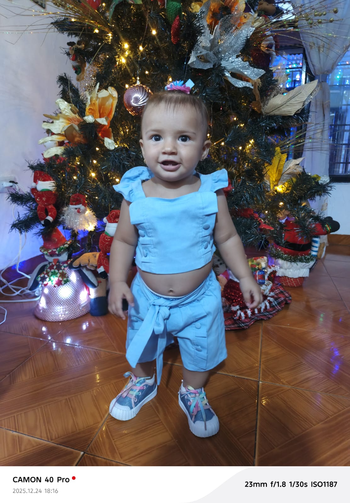 @pandorguita