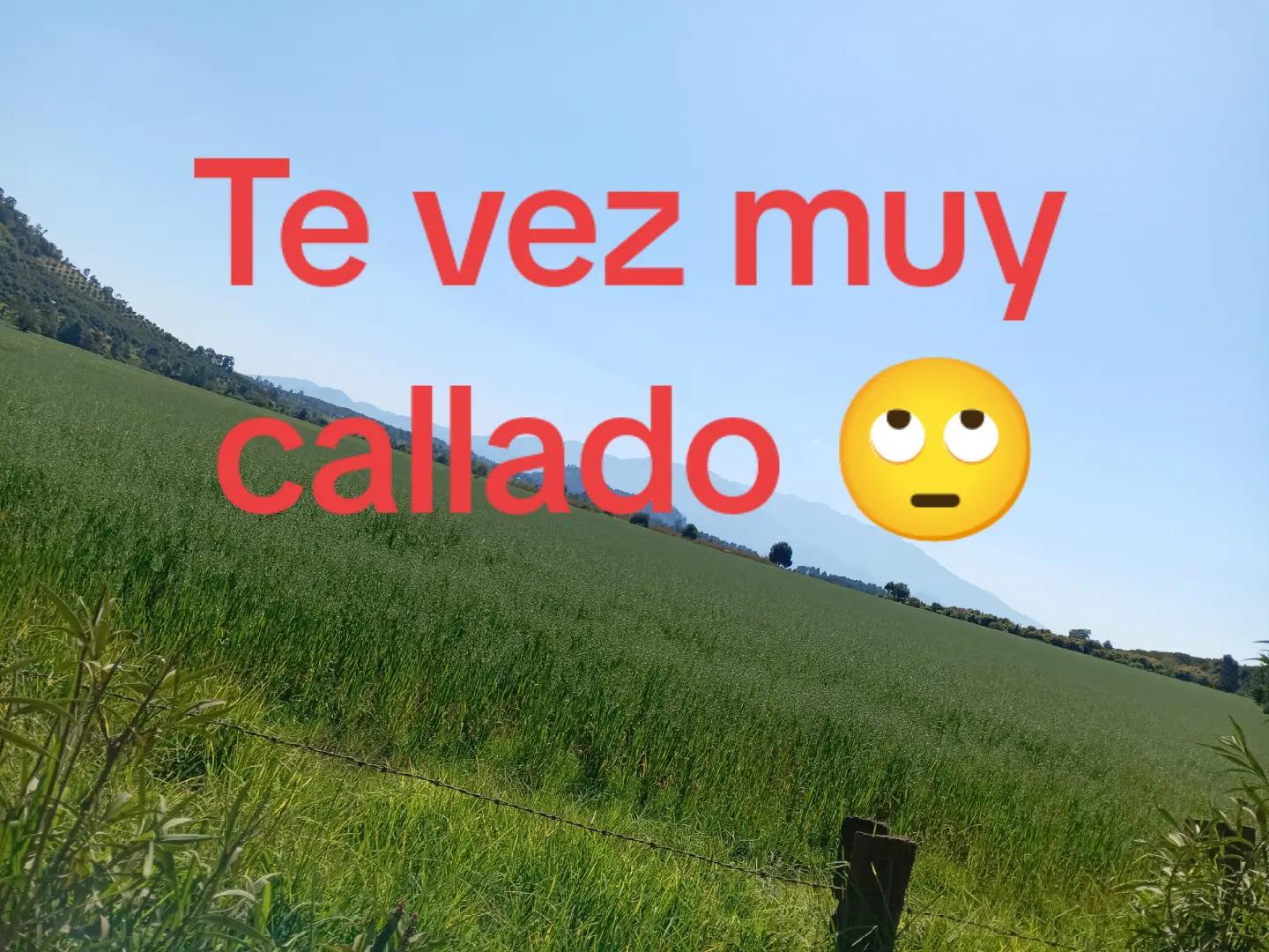 @Andr&eacute;s 04M