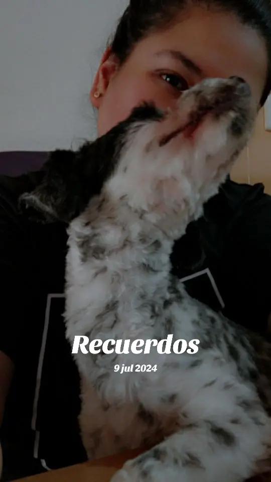 @❣️₩endyEcari☆♡🥦🍒🍉🧿🐱🐶❣️