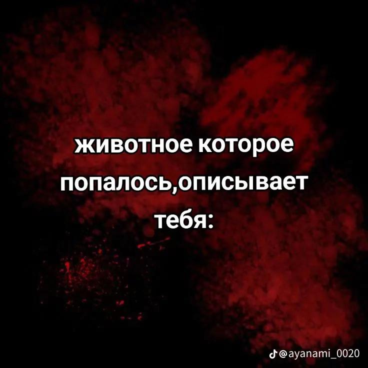 @11:11:11