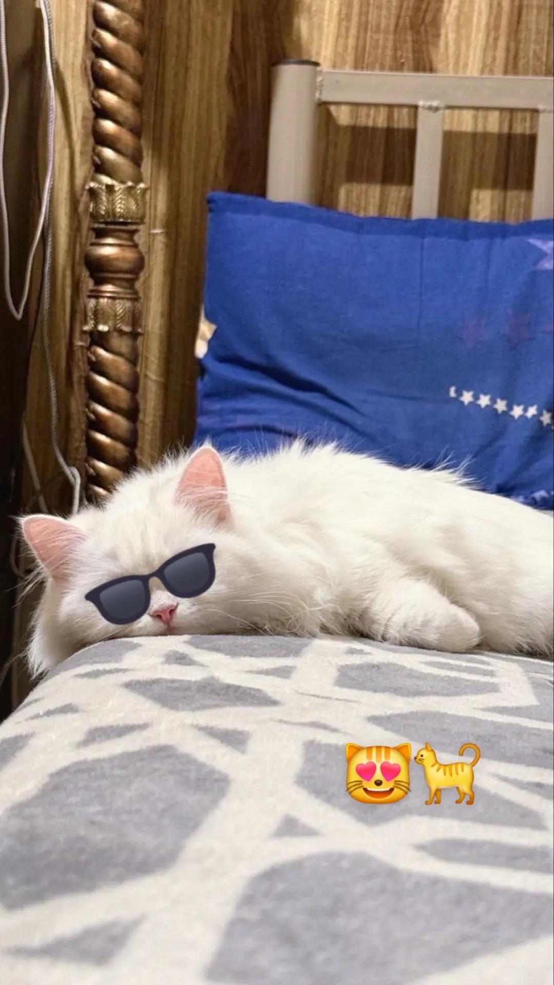 @Ỳ..♾️..Ẃ