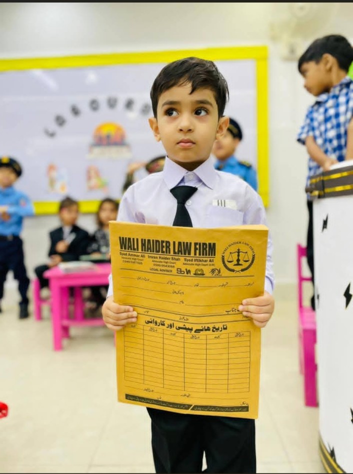 @Syed Wali Haider Law firm