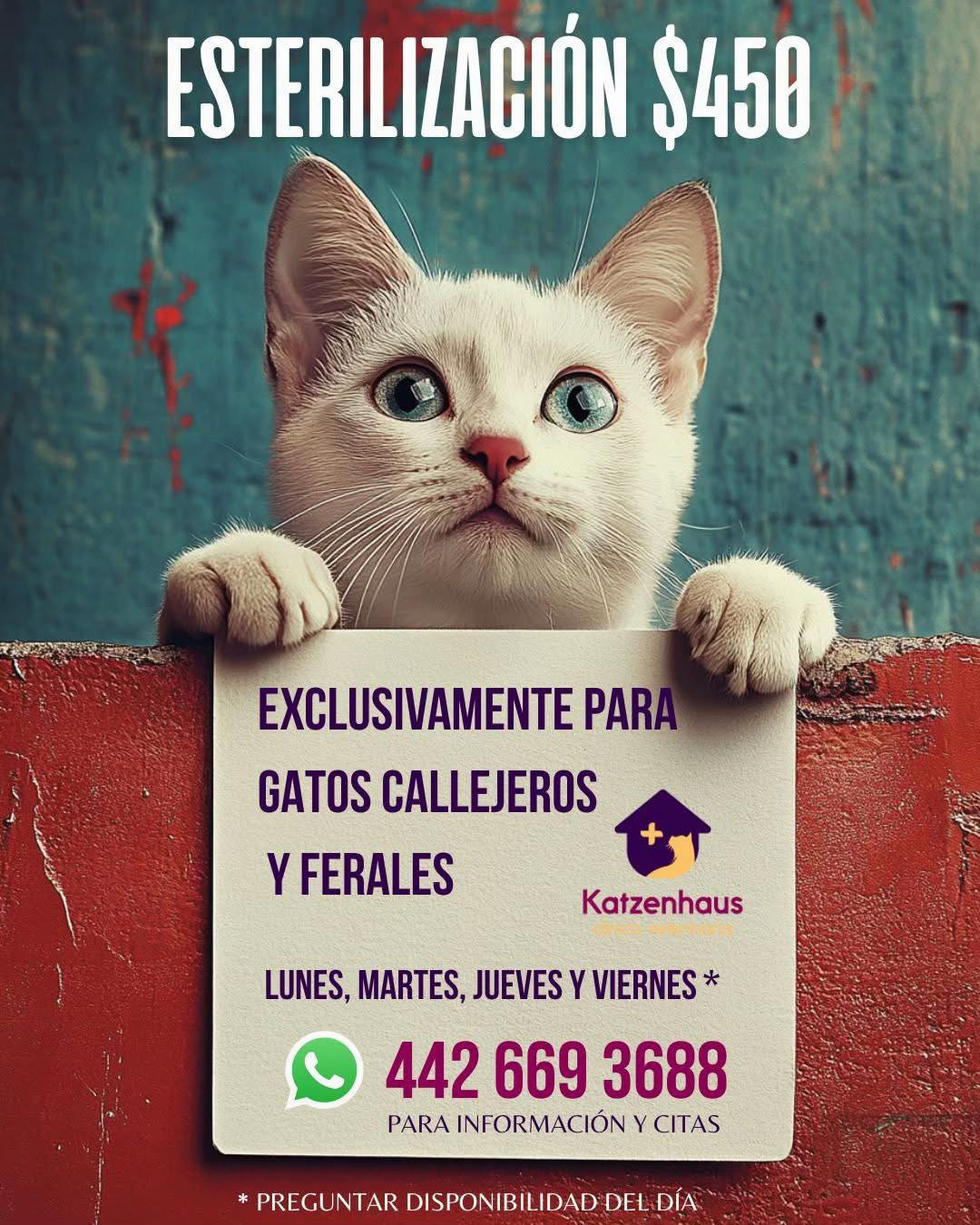 @Foraneosenqueretaro