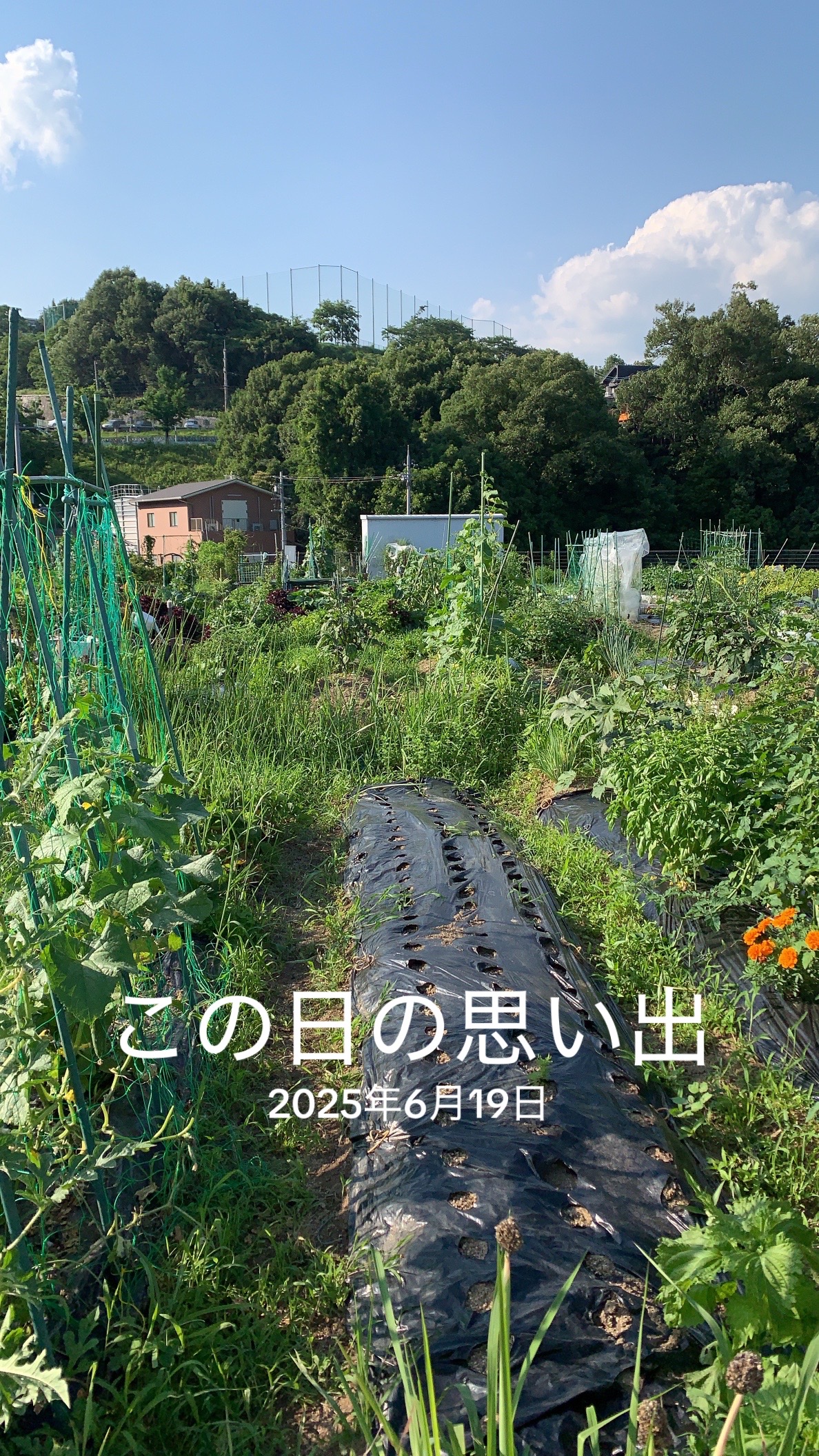 @RebuildUp ヒロキ