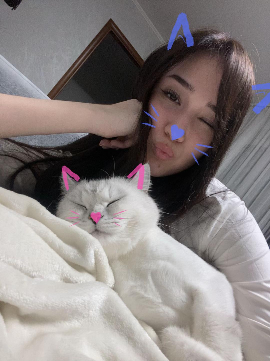 @💤