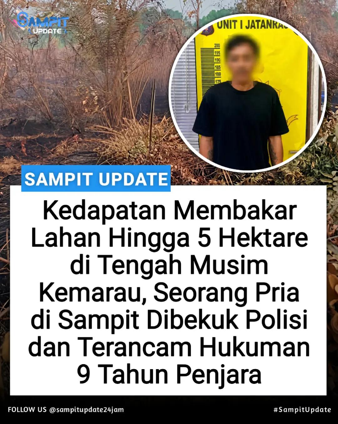 @sampit.update