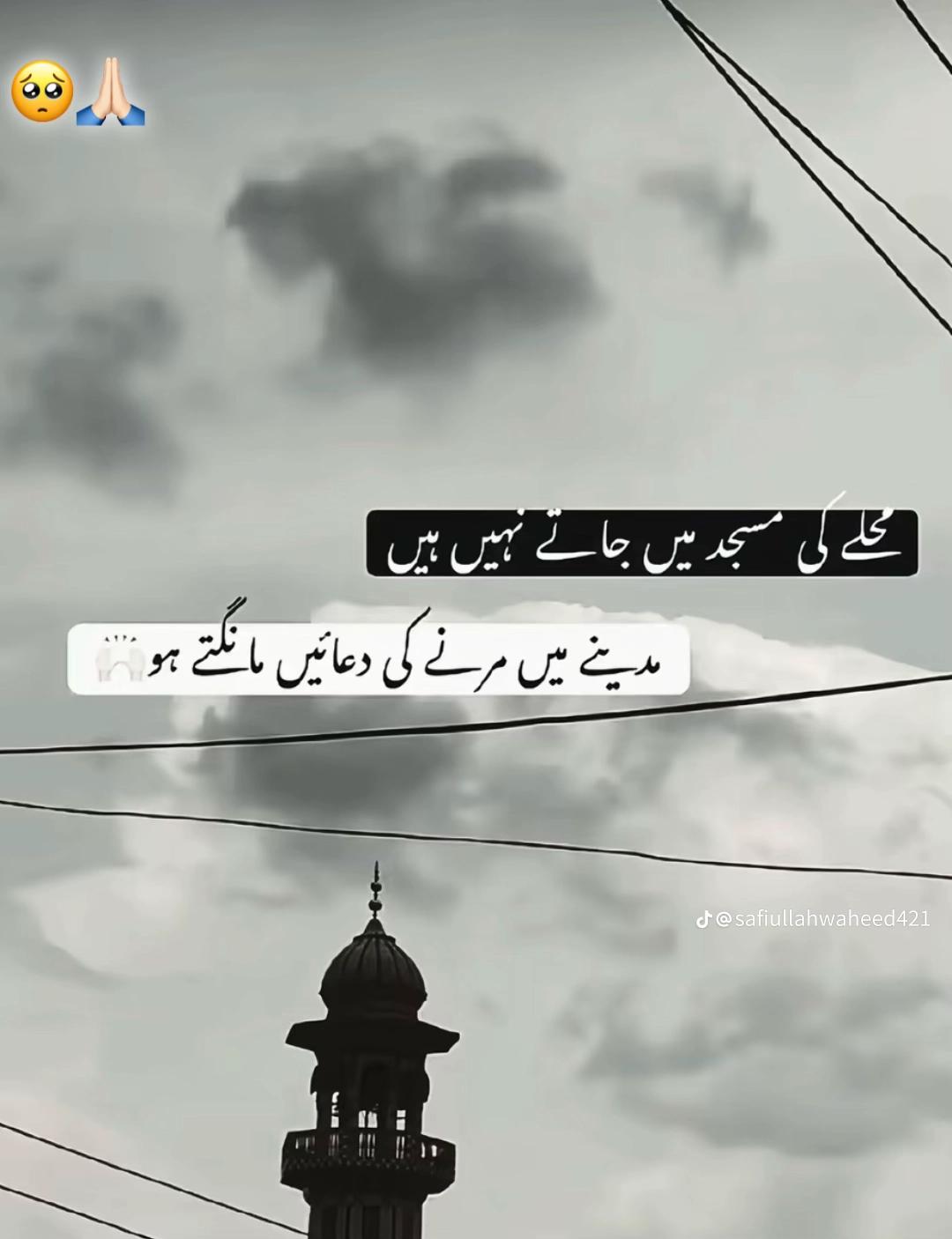 @AliHaider786🦁😎💫