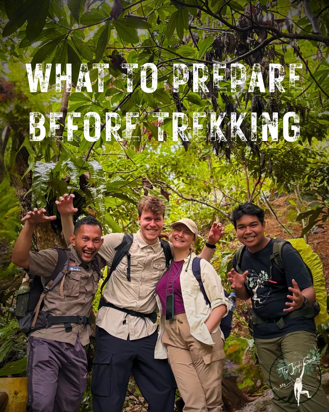 @The Jungle Guide