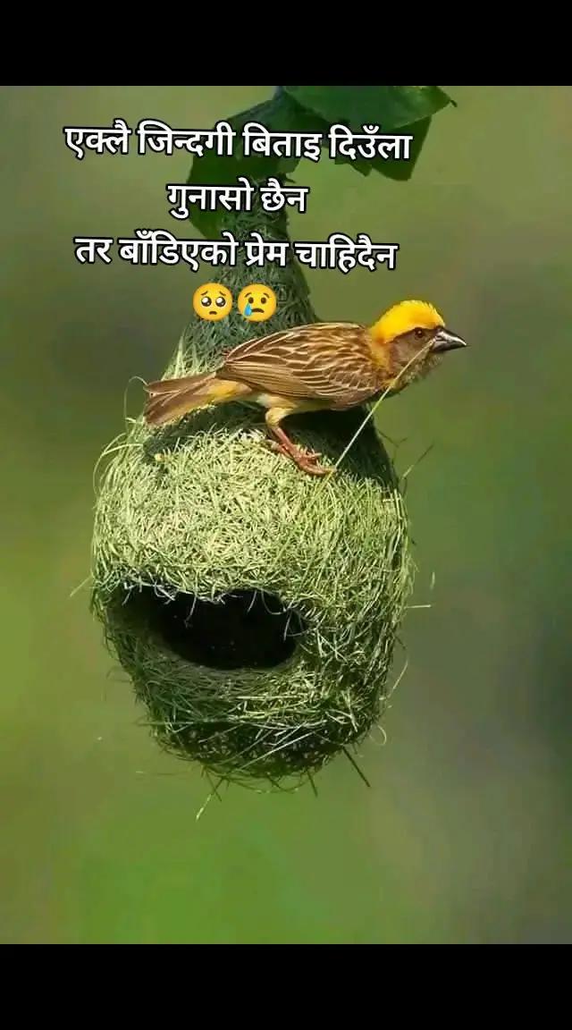 @एक्लो मन 📝