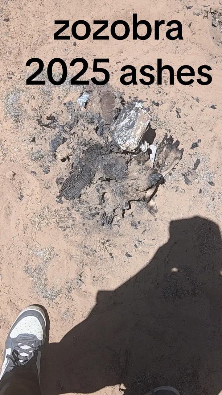 @zozobra2025