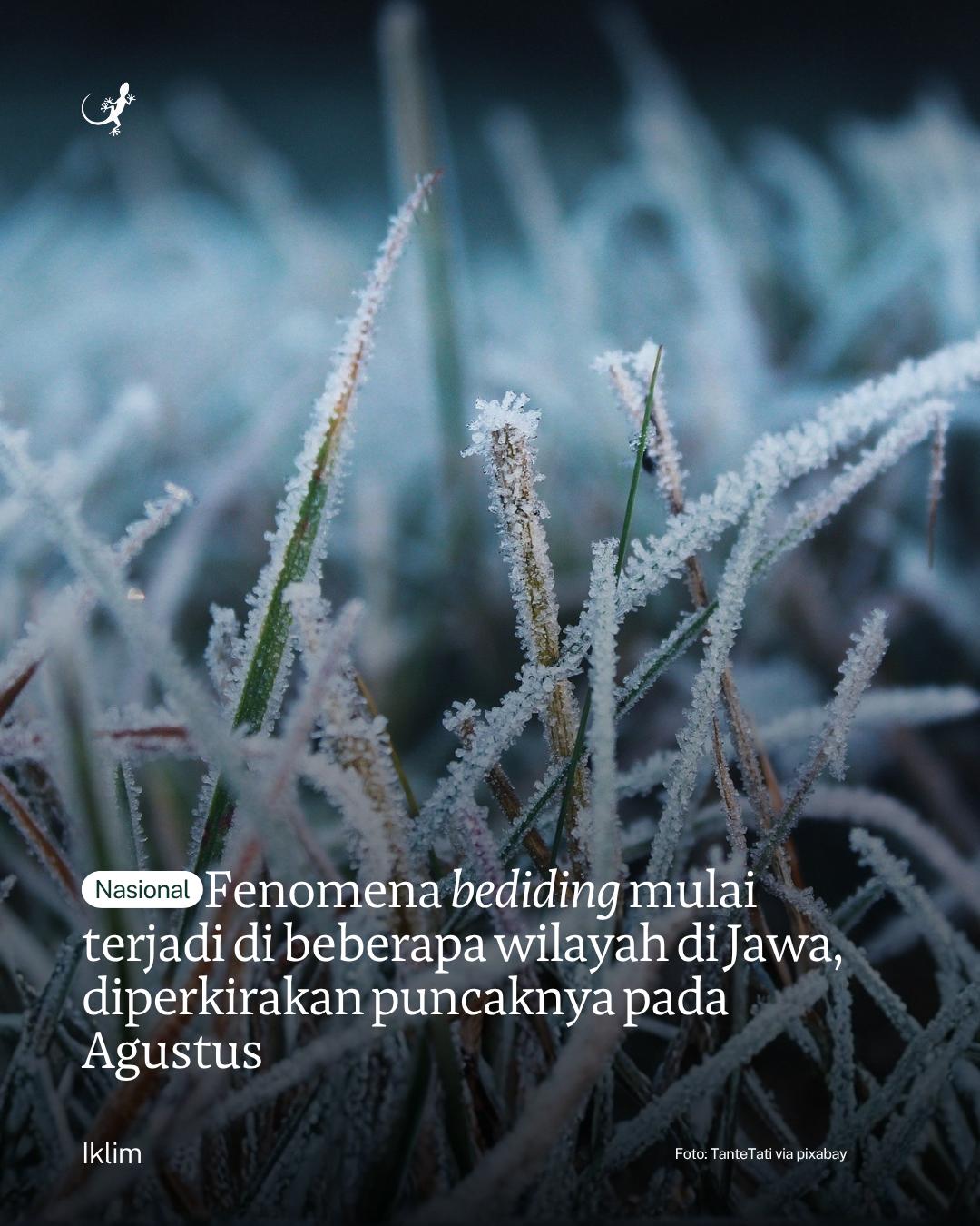 @mongabayindonesia