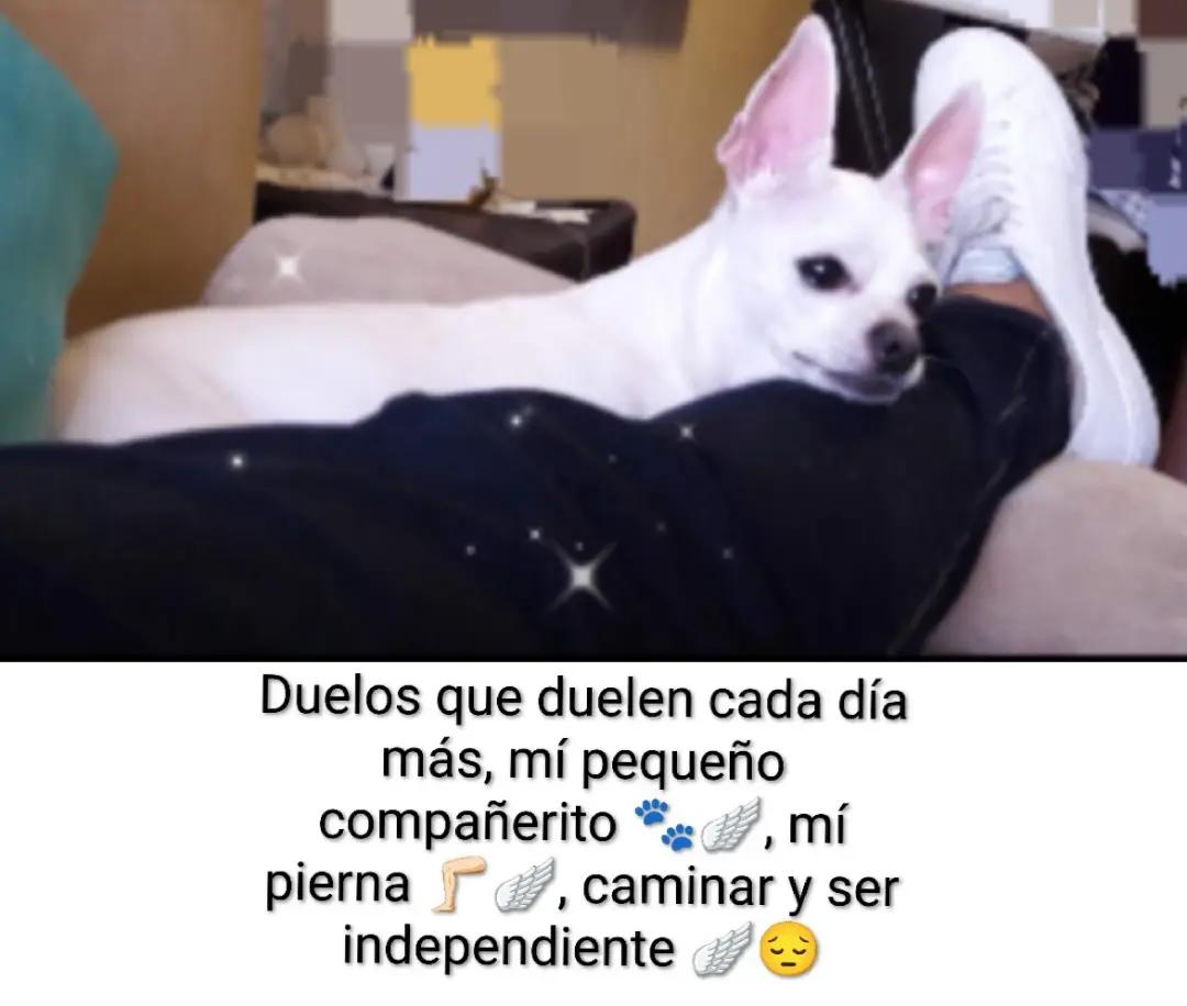 @LilyTajonar🦵🏻🪽😔