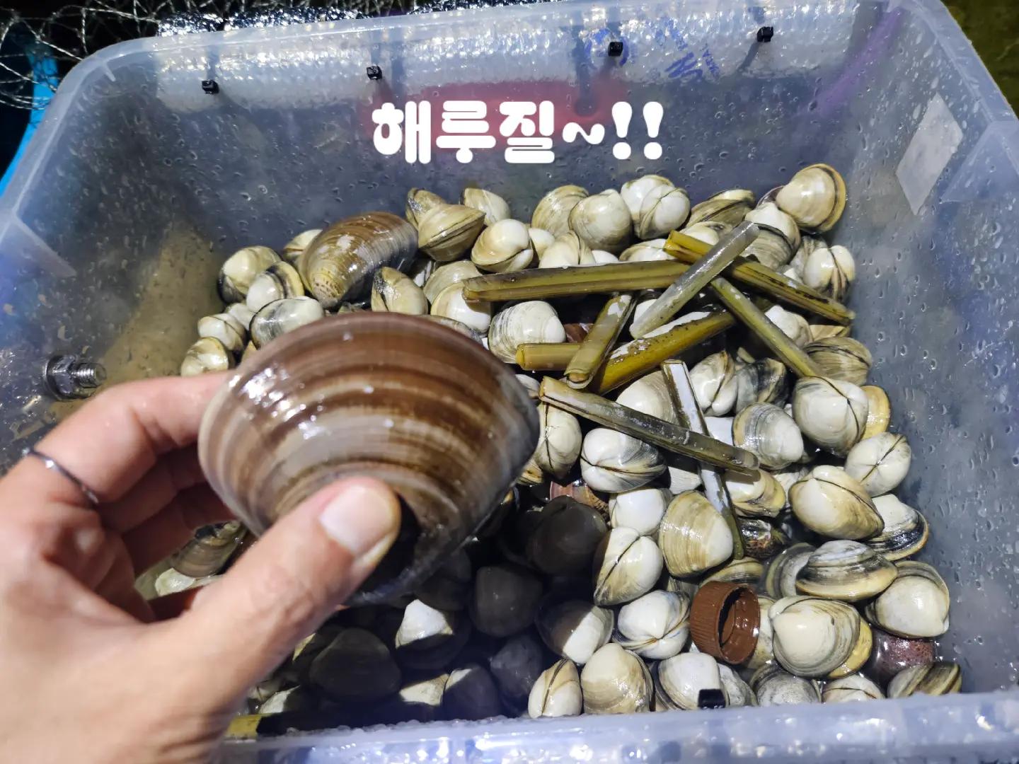 @만두탱이