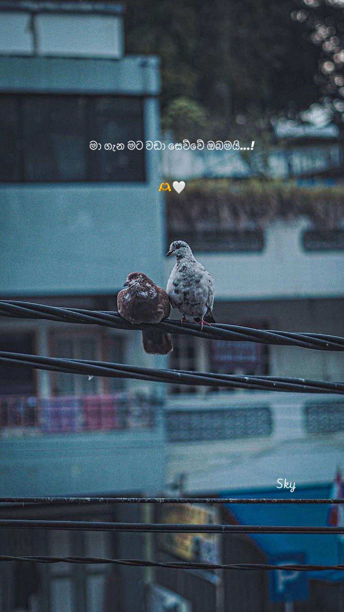 @AcHiZz ☁️"