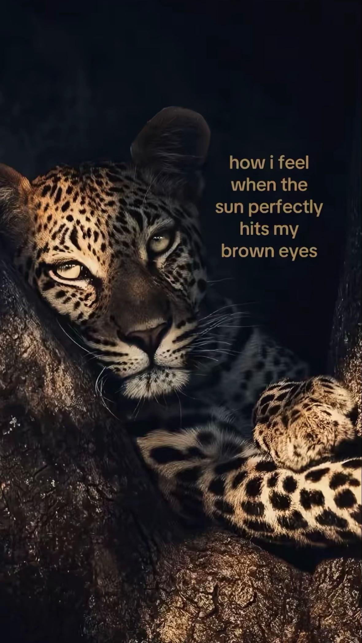 @𝐫𝐞𝐞𝐦𝐚𝐳🫶🏻🤍