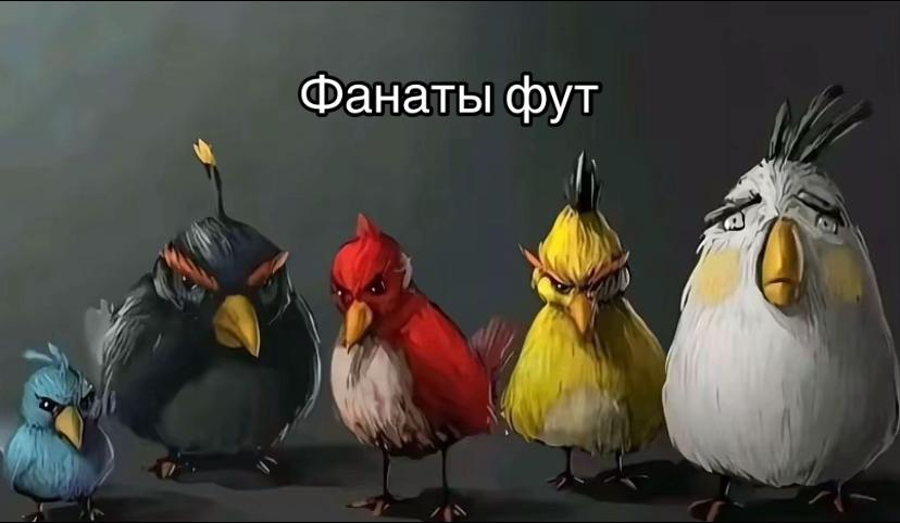 @Тигран | Токки🐰⁵