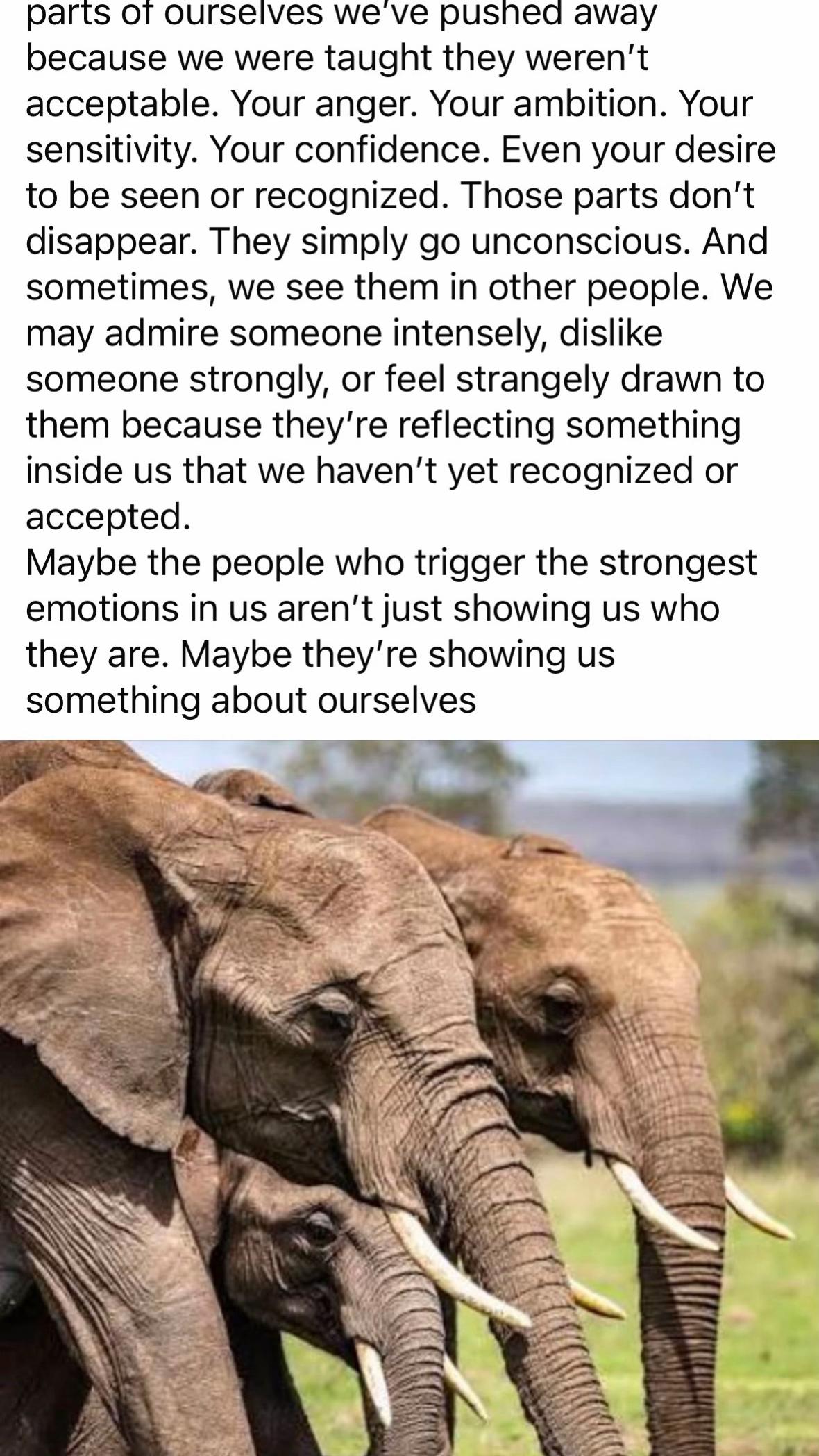 @WisdomWithMammaB