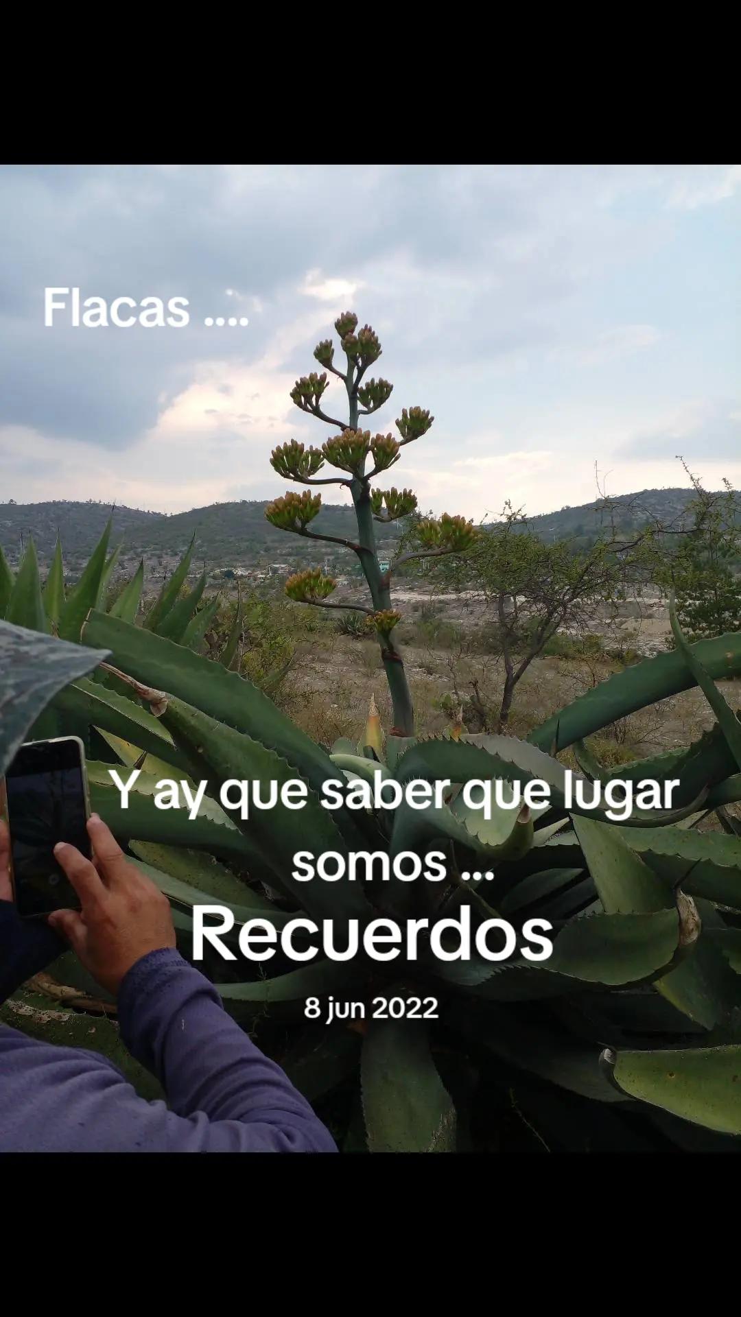 @Gaby Barrios