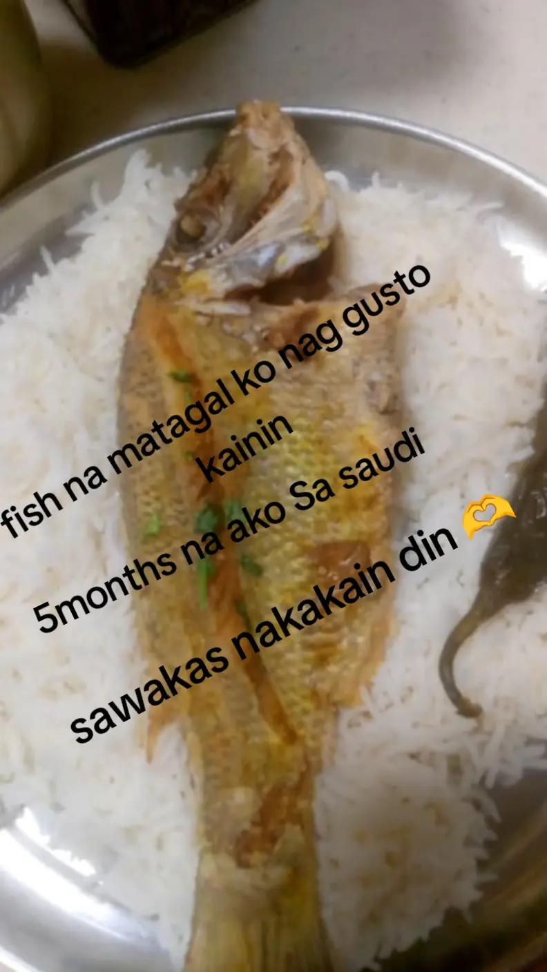 @ELYSA H 🇸🇦