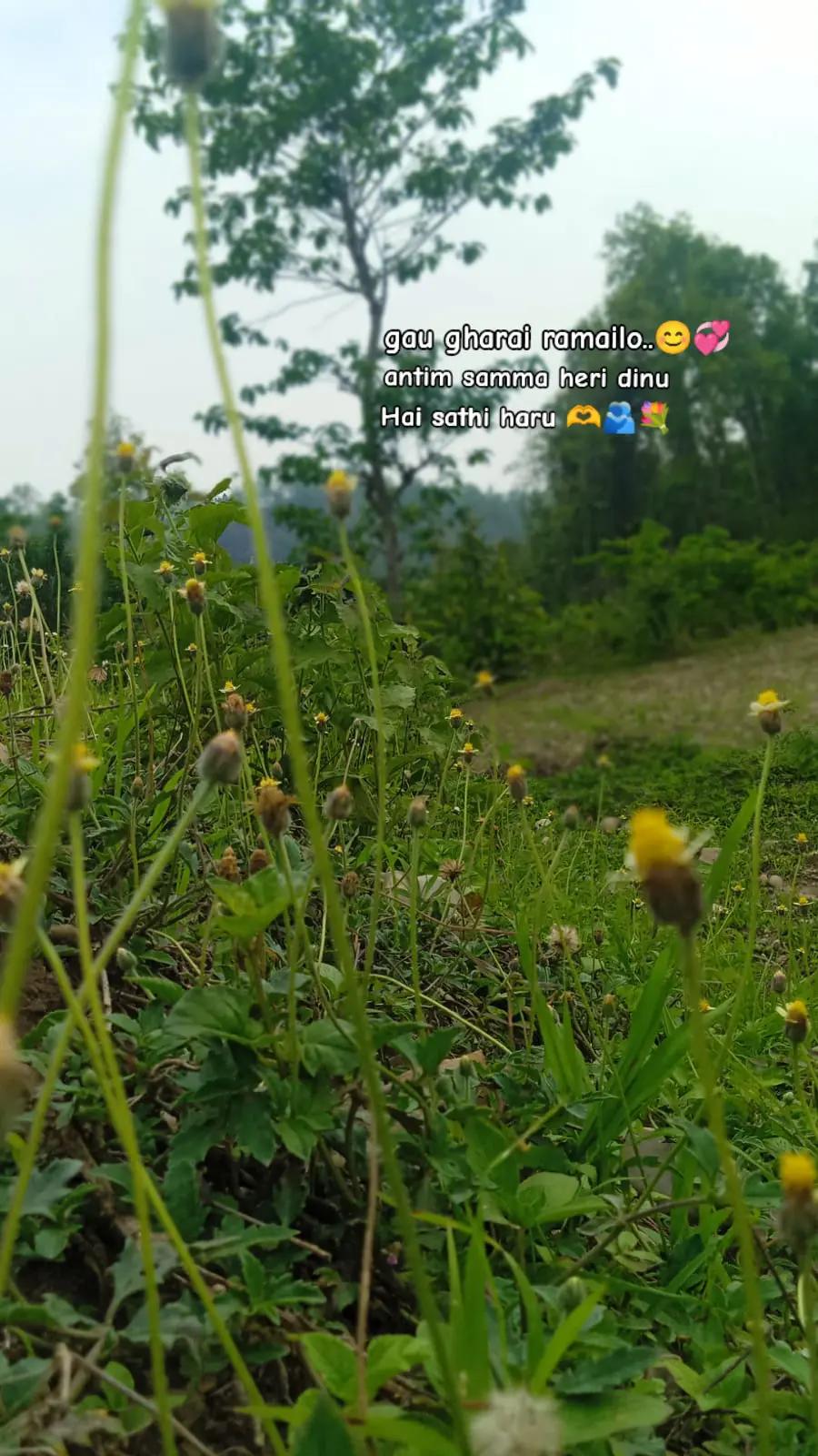 @sani❤️&zwj;🩹🥀