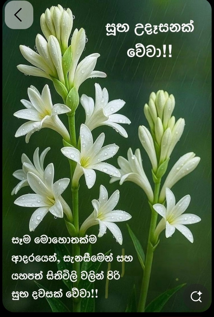 @prasanna