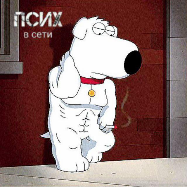 @RazborZavalov