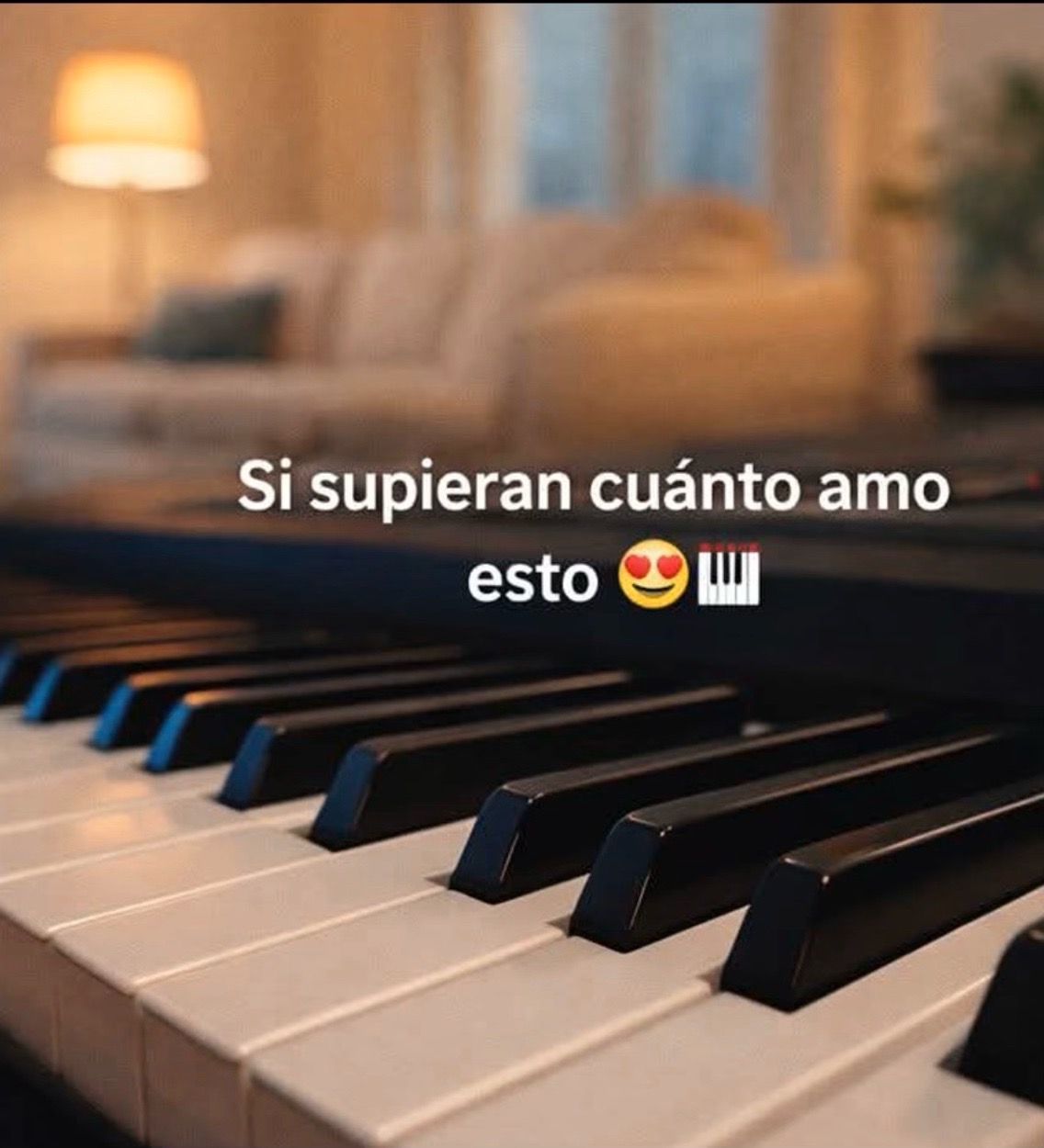 @🤎🩰faby🎤🎹🧃