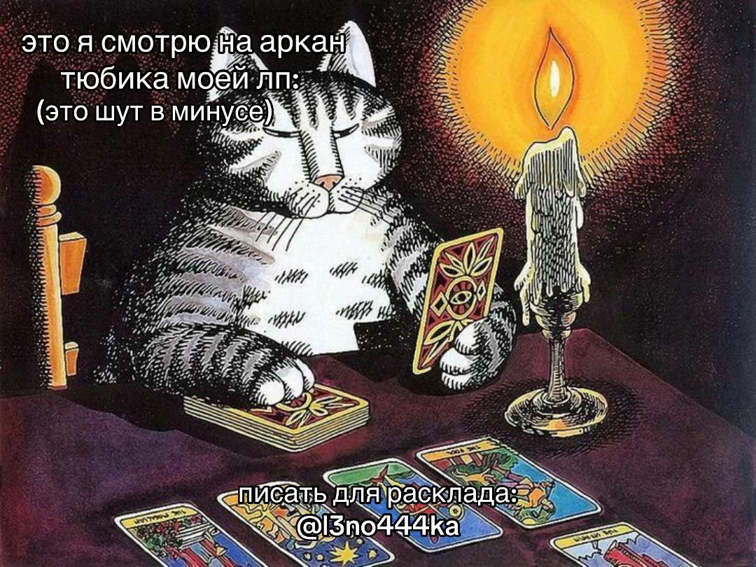 @твой таролог 🫶