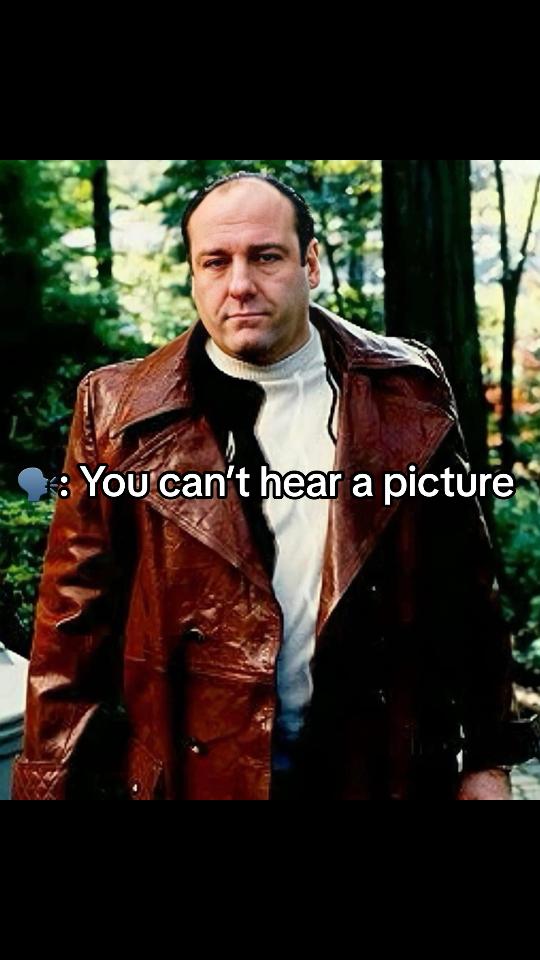 @Soprano Memes