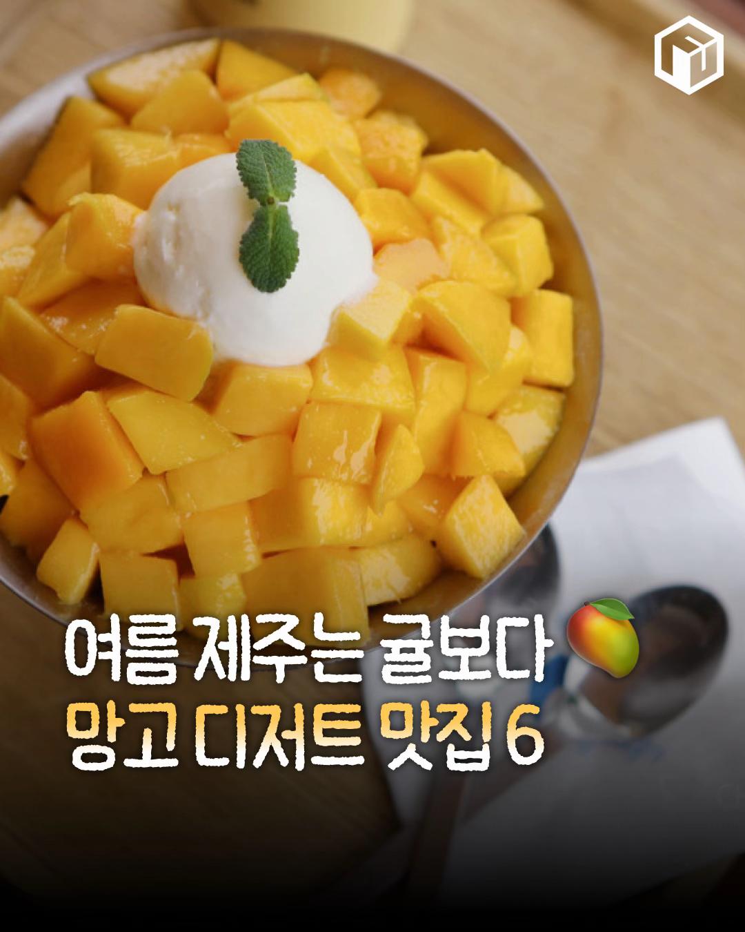 @제주톡톡