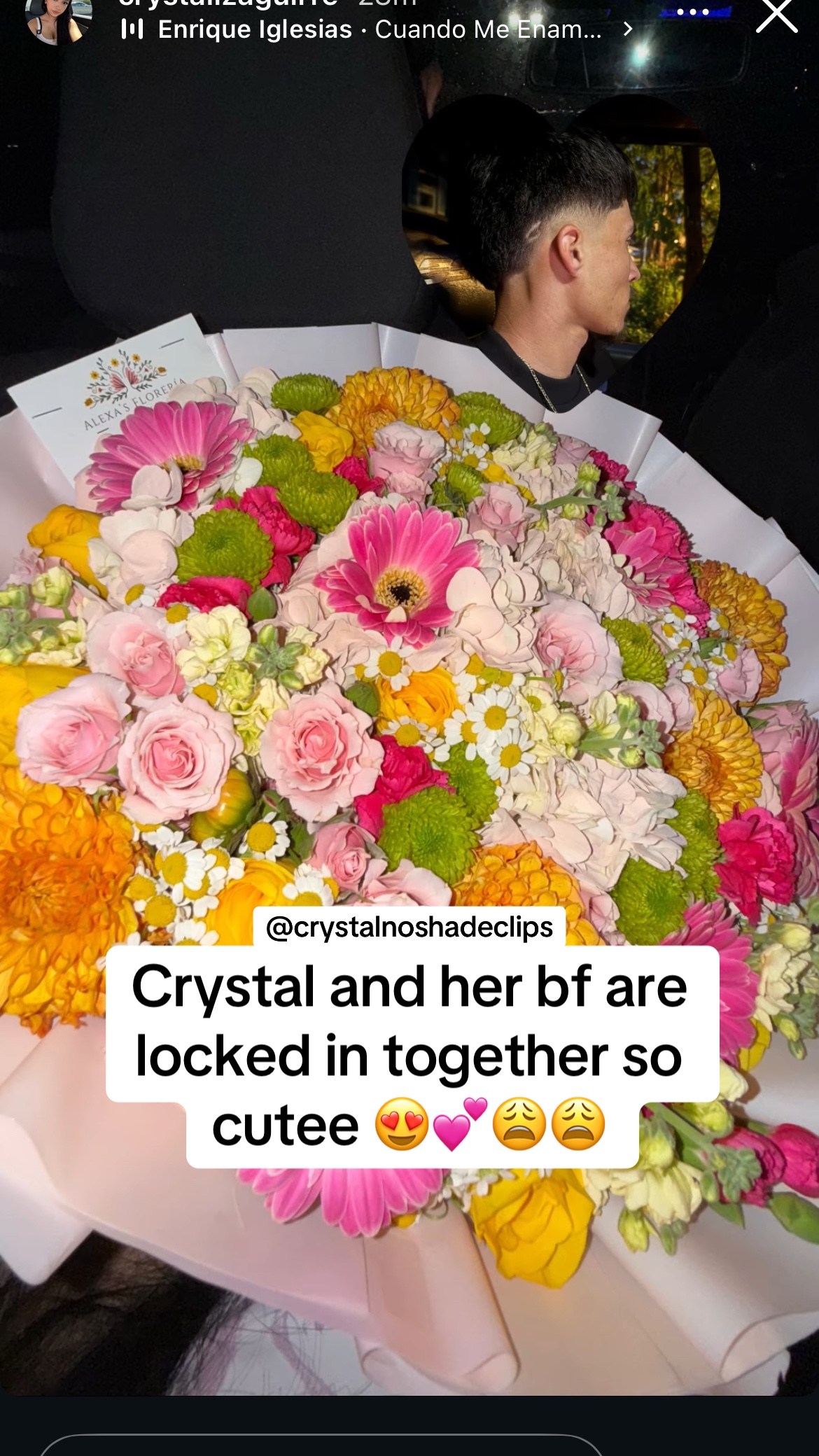 @crystalsnoshadeclips