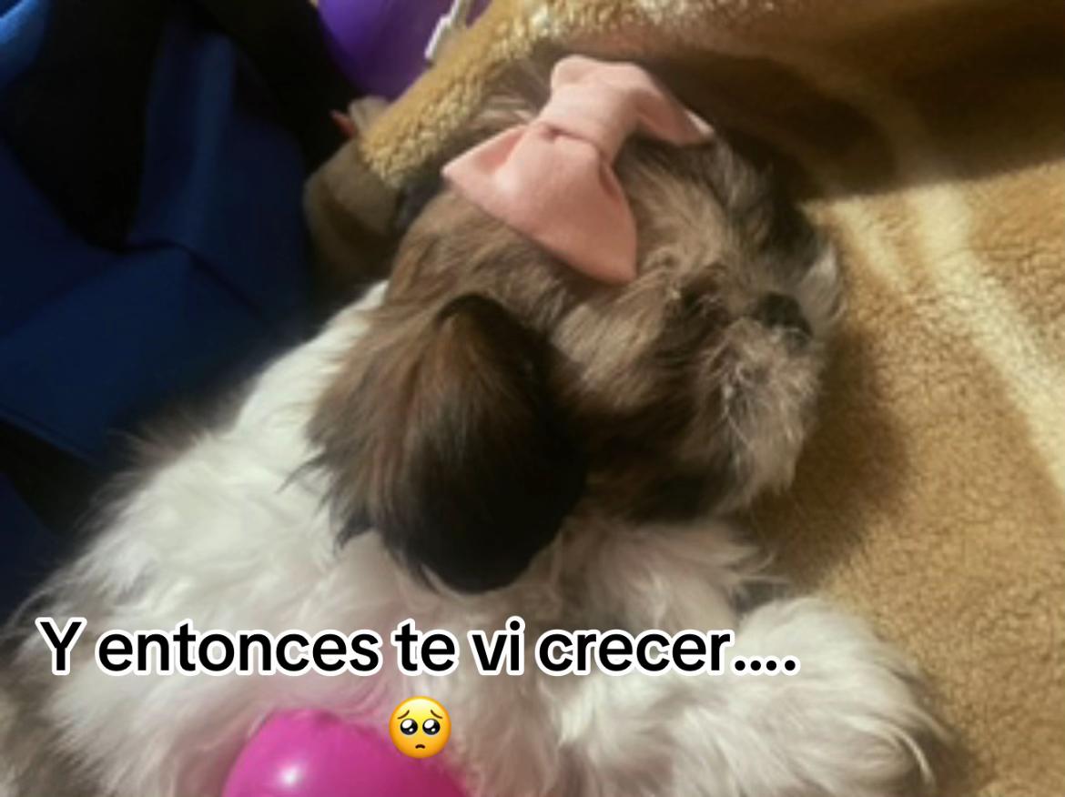 @Angie👩⚕️🪖