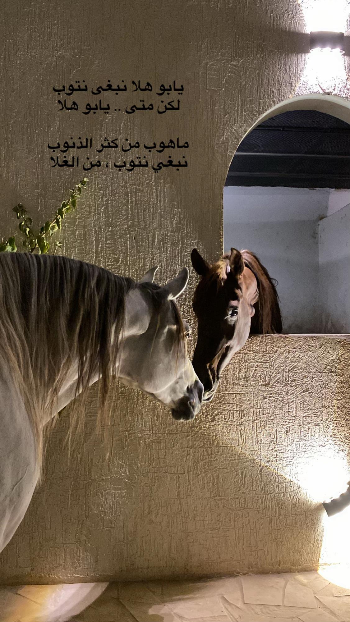 @𝙵𝙰𝙸𝚂𝙰𝙻