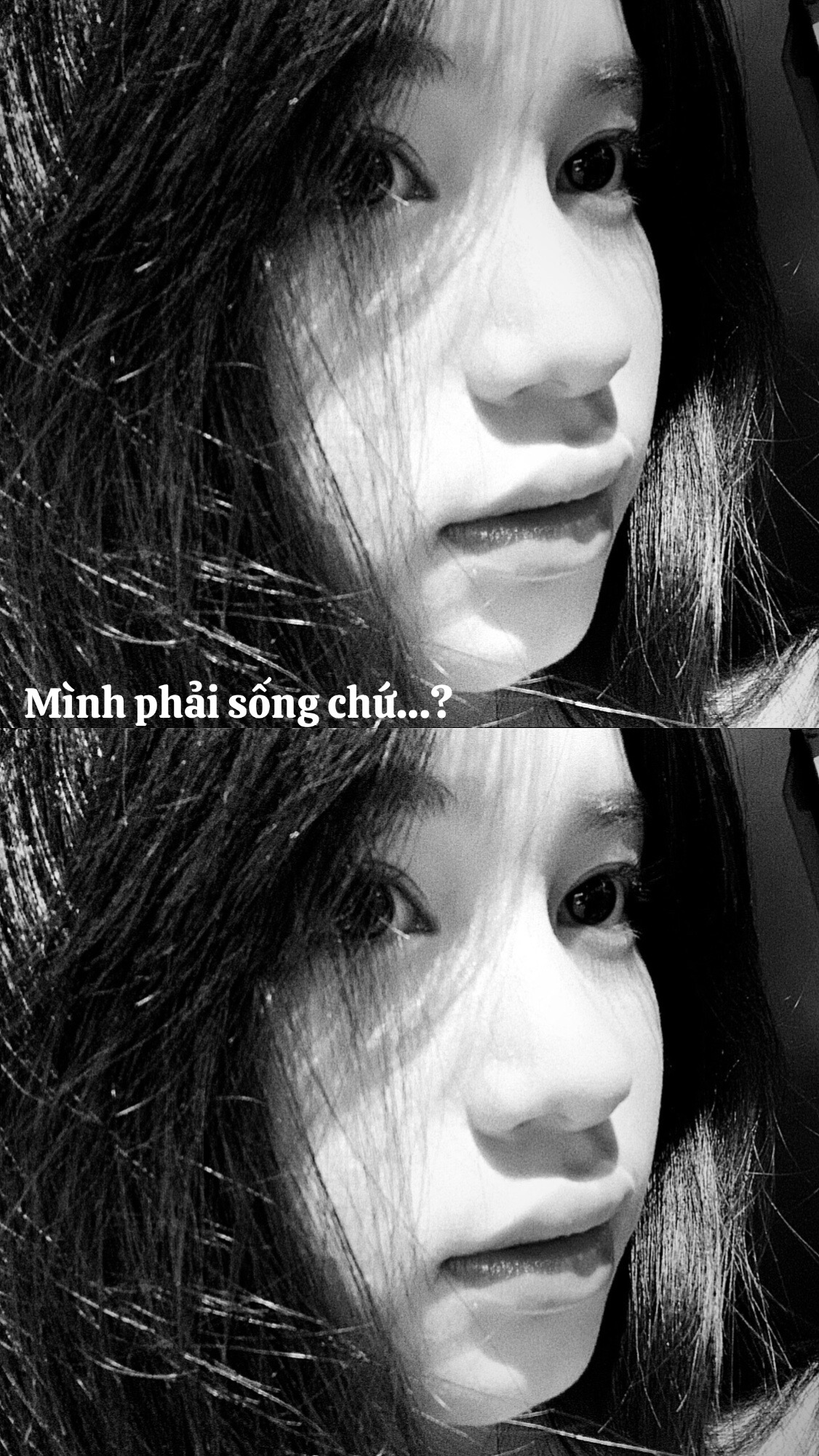 @Le Thuy Trang 🐣
