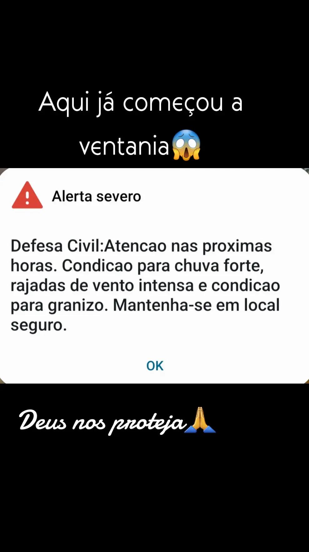 @cidarocha740