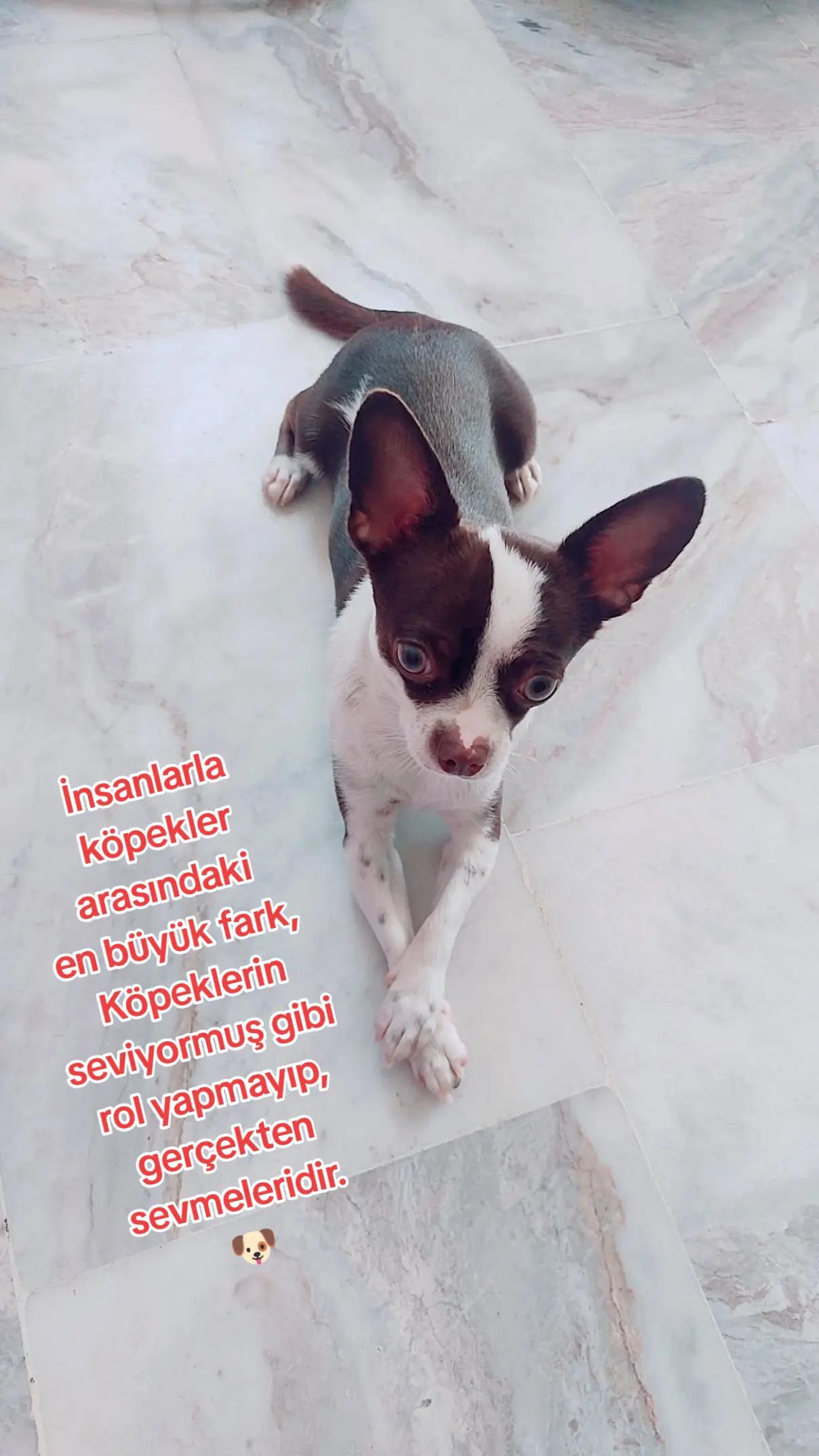 @İmparatoriçe