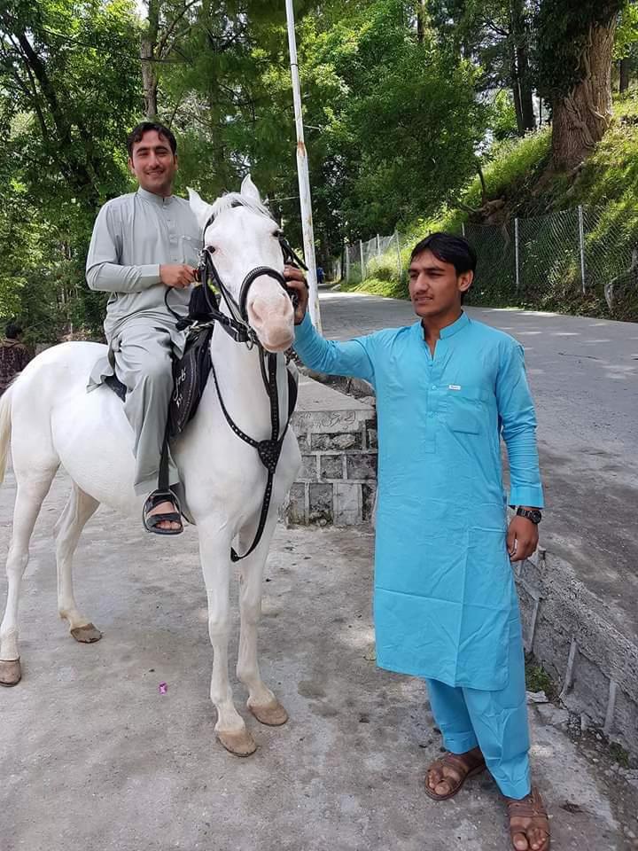 @Asimutmankheel413