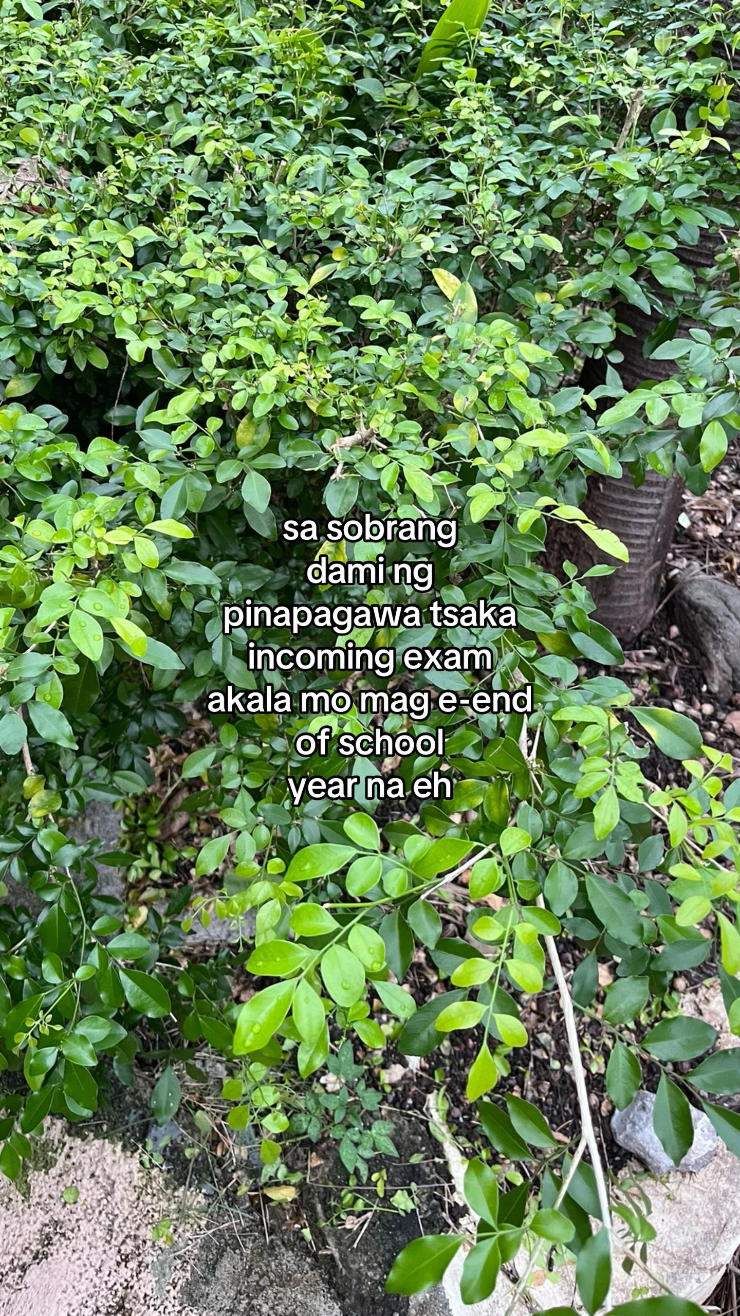 @🧿