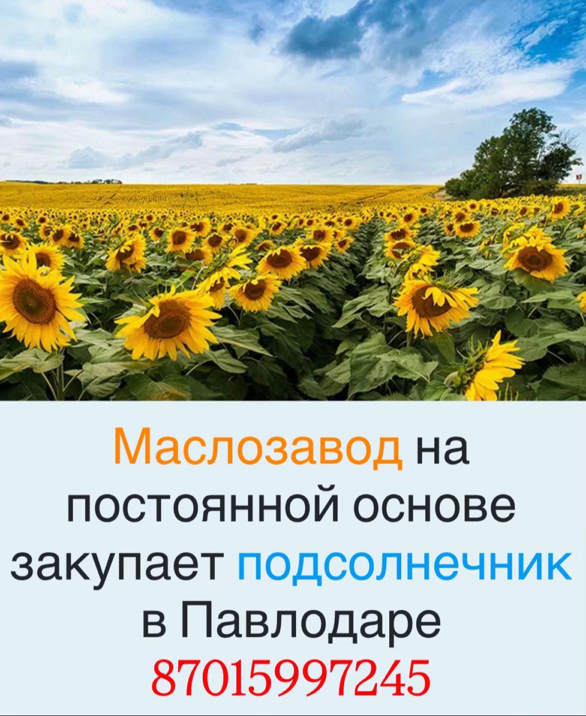 @Доска Павлодар