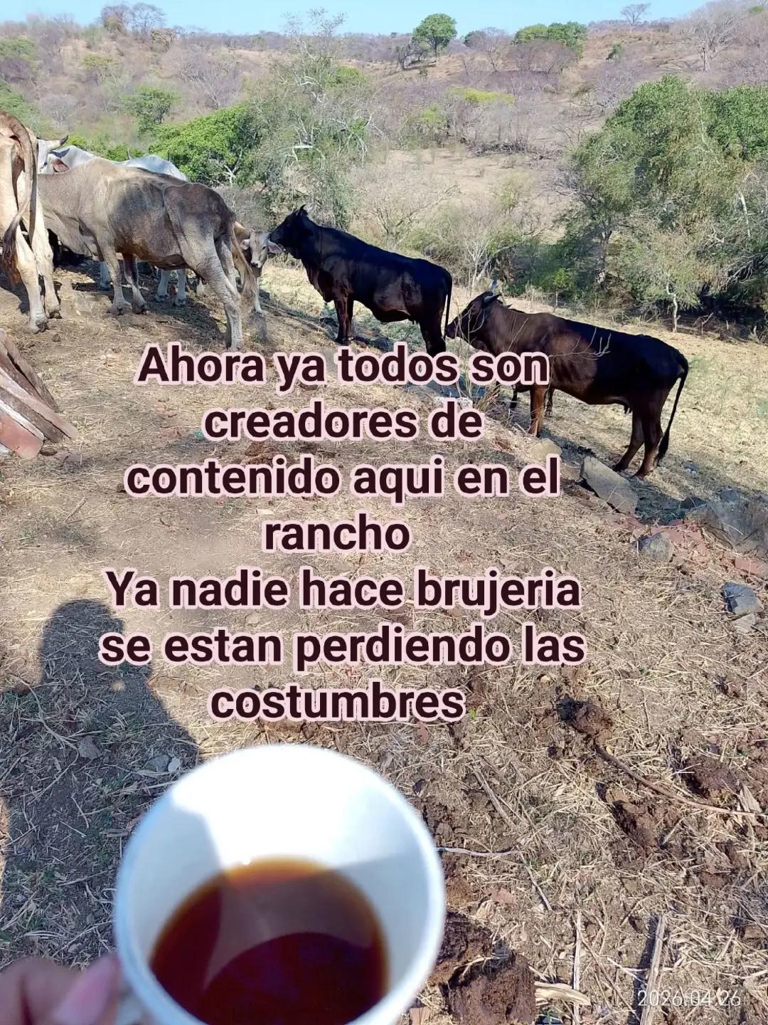 @Patricia Loza