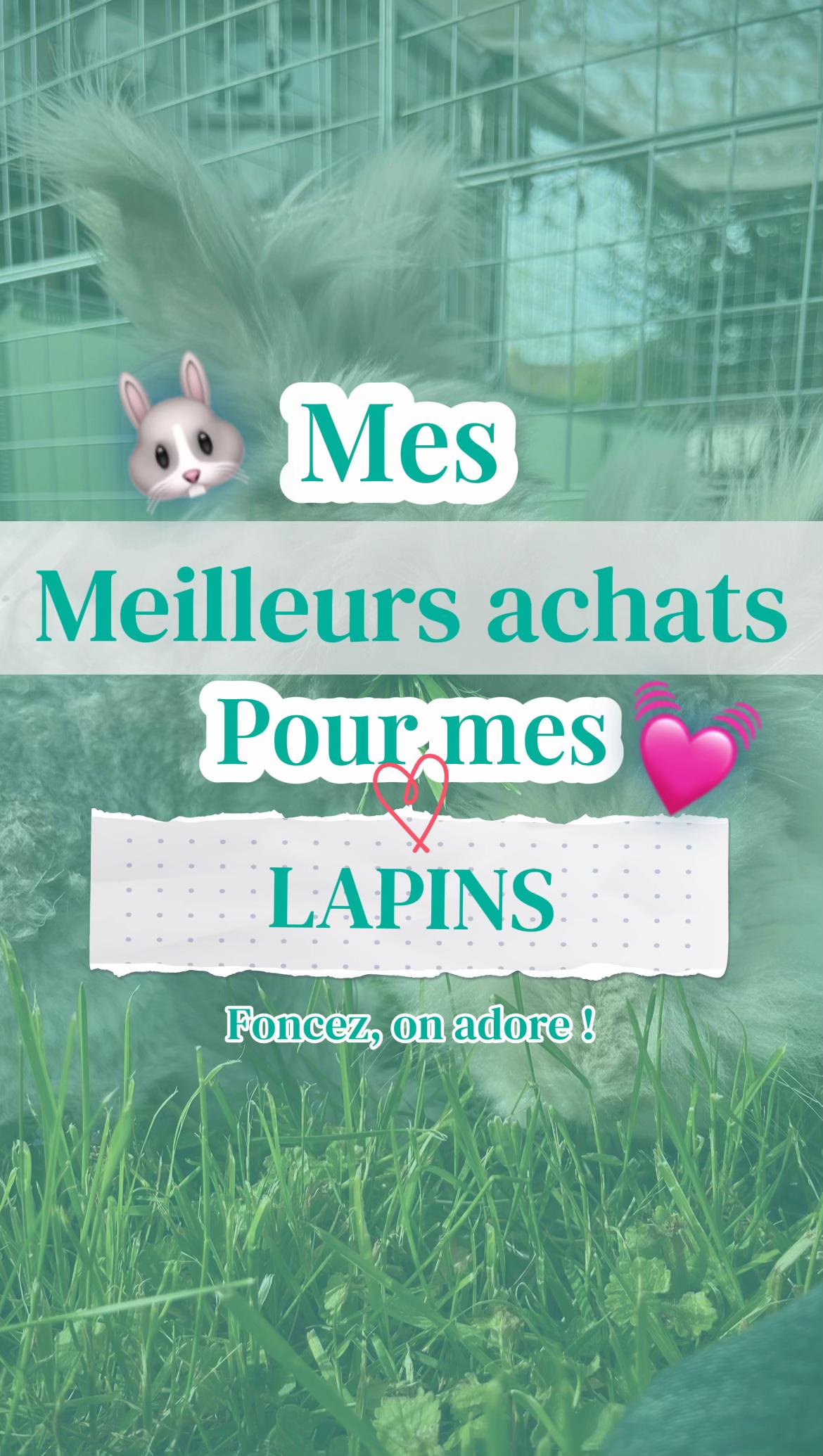 @Mes lapinouchs 🐰