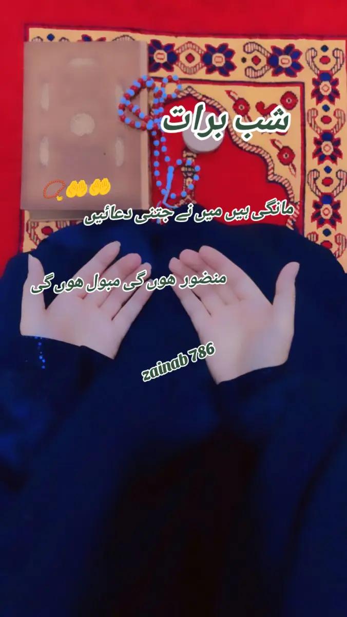 @💞 ᴢᴀɪɴᴀʙ786 💞