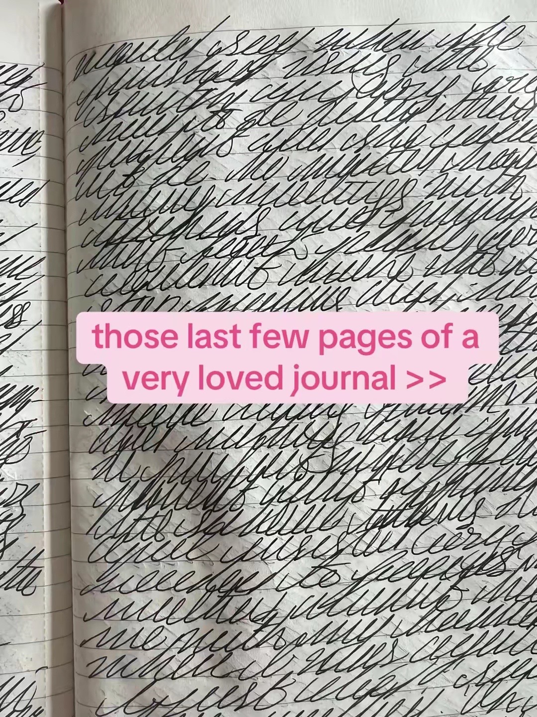 @Dylan | Writer | CC 📚🦋