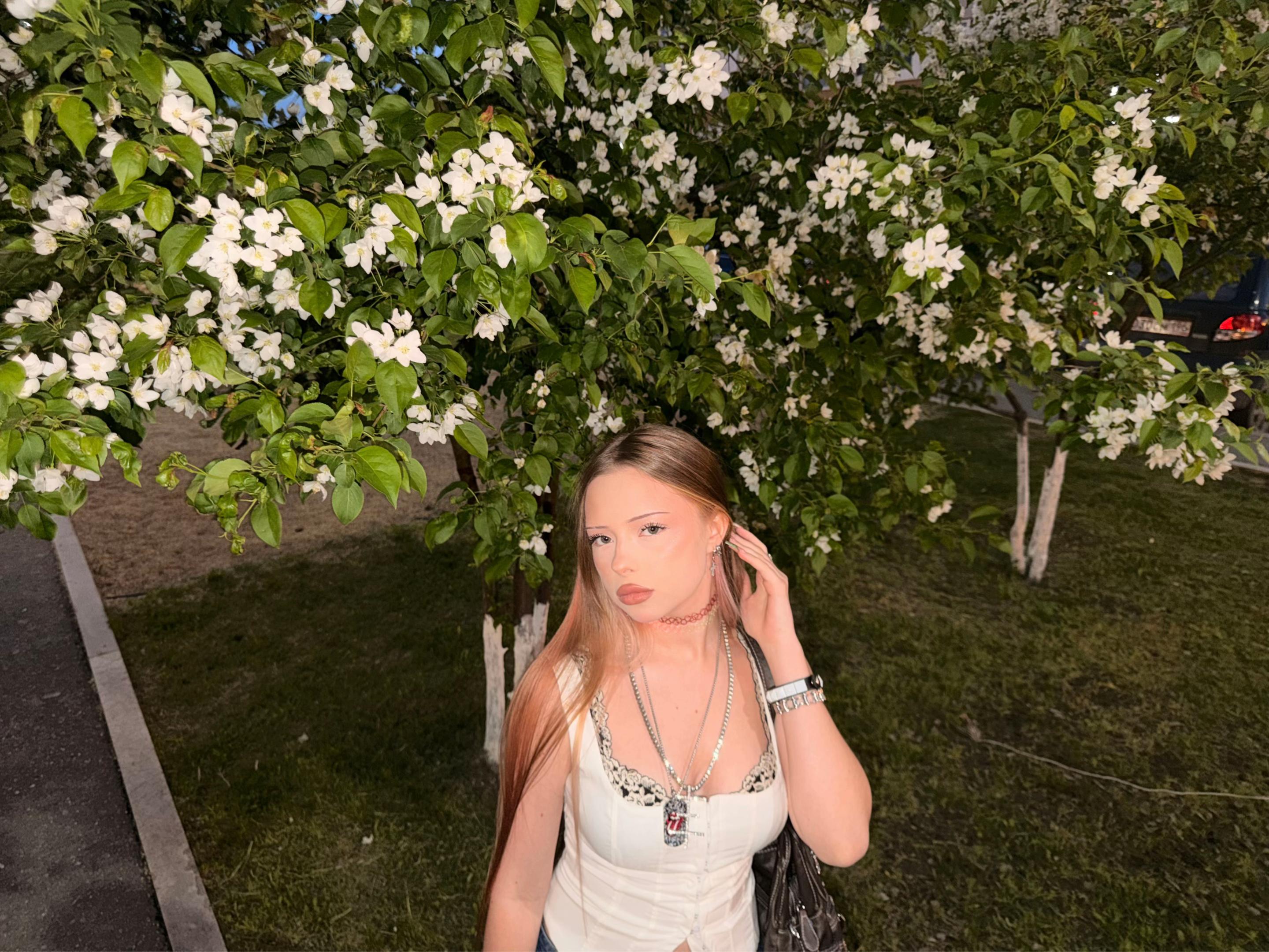 @DABL丰