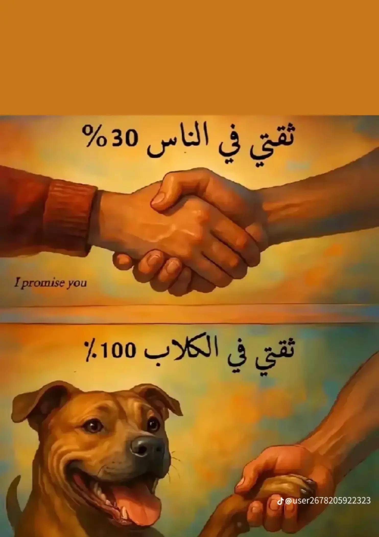 @محمد🦅❤️🤴🔋💥🦅