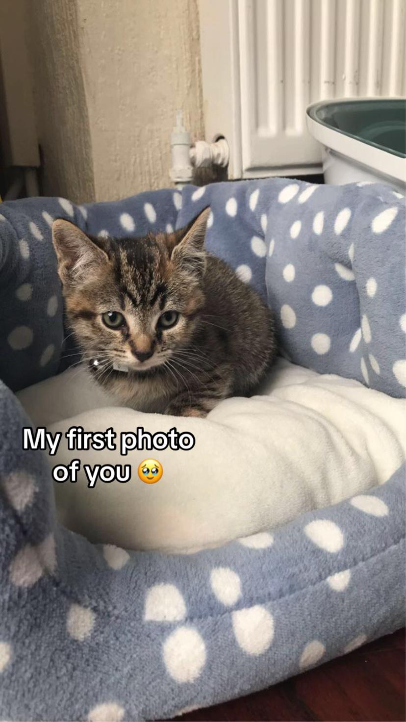 @⭐️