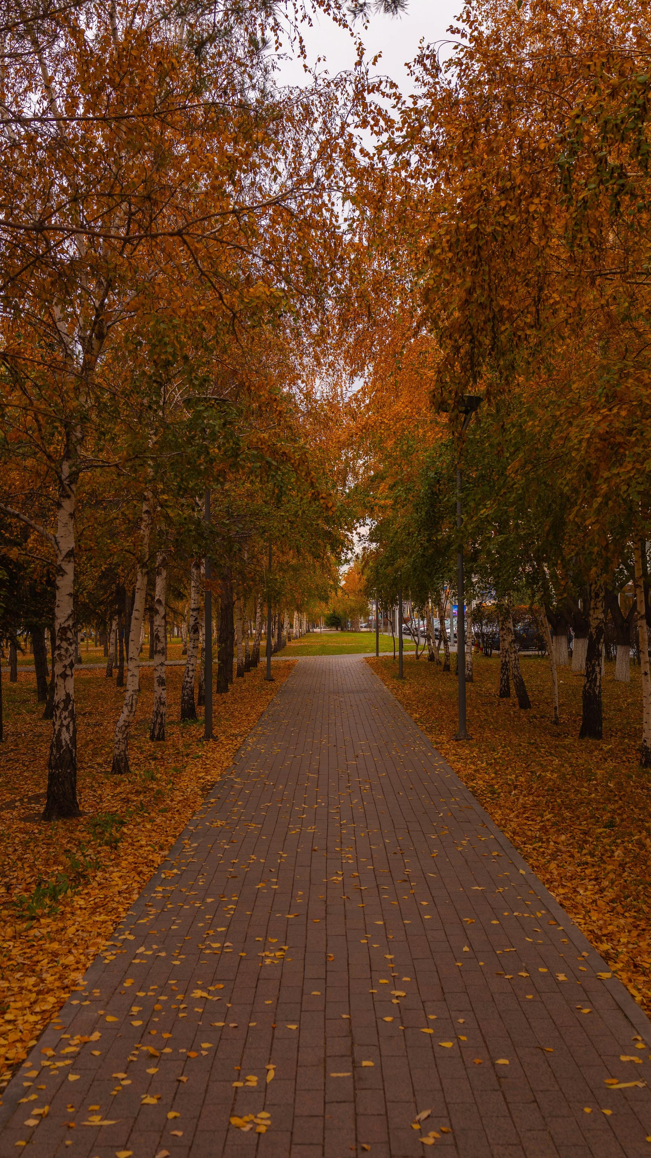 @өзіме ұнайды